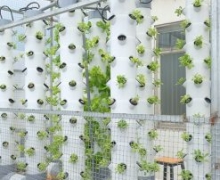 Đại lý Bình Tân
