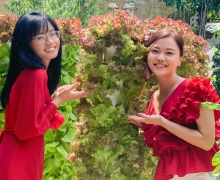 Tìm hiểu về cách trồng rau trụ thuỷ canh thẳng đứng