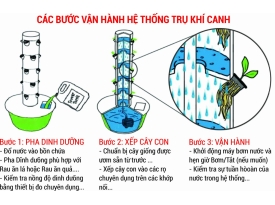 Các bước vận hành hệ thống trụ trồng rau thủy canh