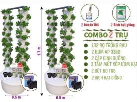 Trồng Rau Thủy Canh Combo 2 Trụ Đôi