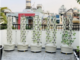 TRỤ THỦY CANH TRỒNG RAU THÔNG MINH