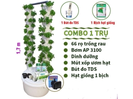 TRỤ TRỒNG RAU THỦY CANH COMBO 1 TRỤ ĐÔI 66 RỌ