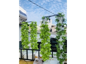 TRỤ TRỒNG RAU THỦY CANH GIÁ BAO NHIÊU