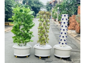 TRỤ TRỒNG RAU THỦY CANH PHAN CHÂU