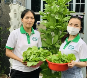 Mách bạn địa chỉ bán thủy canh trụ đứng hồi lưu uy tín, chất lượng