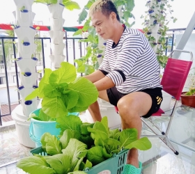NHỮNG LƯU Ý CẦN THIẾT KHI TRỒNG RAU THỦY CANH TẠI NHÀ